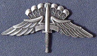 Airborne Wings HALO SF, SPOPS,  basic socb $6.95