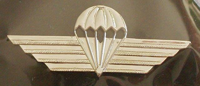 Airborne Wings KENYA cb $12.99