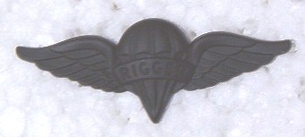 Airborne Rigger wings black sub cb $4.00