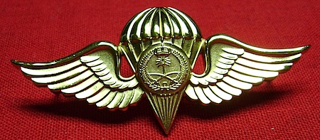 Saudi Arabia airborne basic cb $15.00