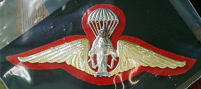 Airborne Wings THAILAND cb $28.00