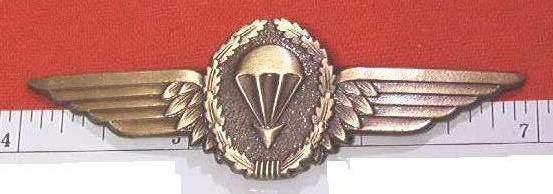 Airborne Wings WEST GERMAN basic cb $12.99