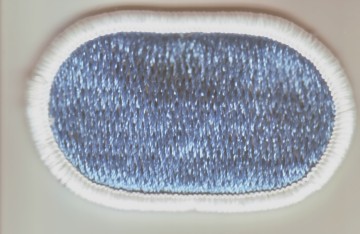 105th Military Intelligence Bn me ns $4.00