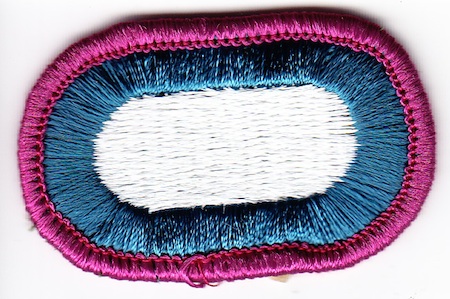 311th Military Intelligence Bn wings oval me ns $4.00