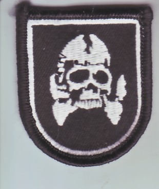 Special Operations skull flash ME NS $3.99