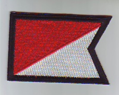 1/9th Cavalry Regiment flash ua ce ns $4.25