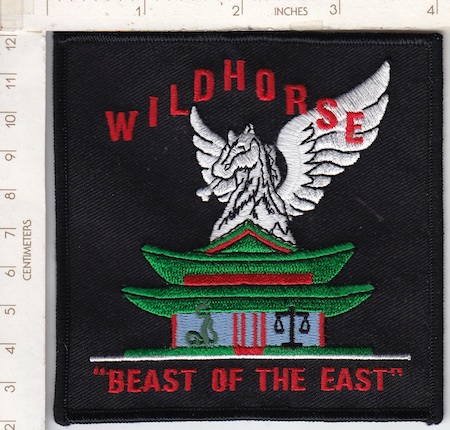 160th Avn Regt E Co WILD HORSE me ns $5.00
