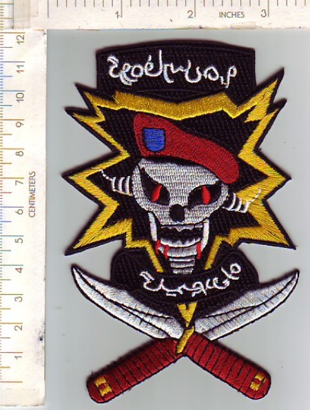 2-19 Special Forces Grp SOTA  MI (color) ce ns $5.99