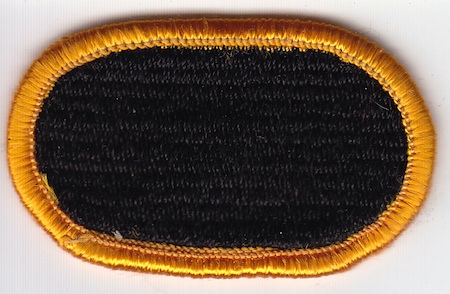 Ranger Instructor wings oval  me ns $5.00