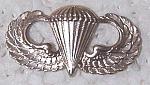 Airborne Wings Basic bfcb $5.98