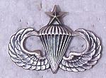 Airborne Wings Senior, socb $6.98