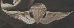 Airborne Wings JAPAN cb $9.99
