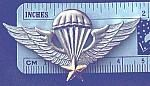 Airborne Wings VIETNAM basic cb $12.00