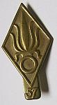 Army French Foreign Legion 57th Rgt pin  $10.00