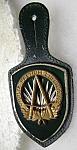U.S. Army S.H.A.P.E. Instructor badge $50.00