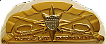 U.S. Coast Guard Tactical Law Enforcement badge cb  $8.75