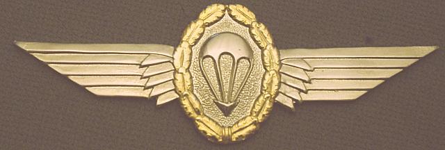 Airborne Wings WEST GERMAN senior cb $14.00