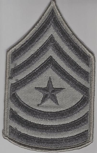 Army SGM (pair) Vietnam OD on twill ce ns $10.00